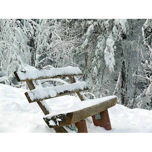 Winter Idyll Canvas Art Print